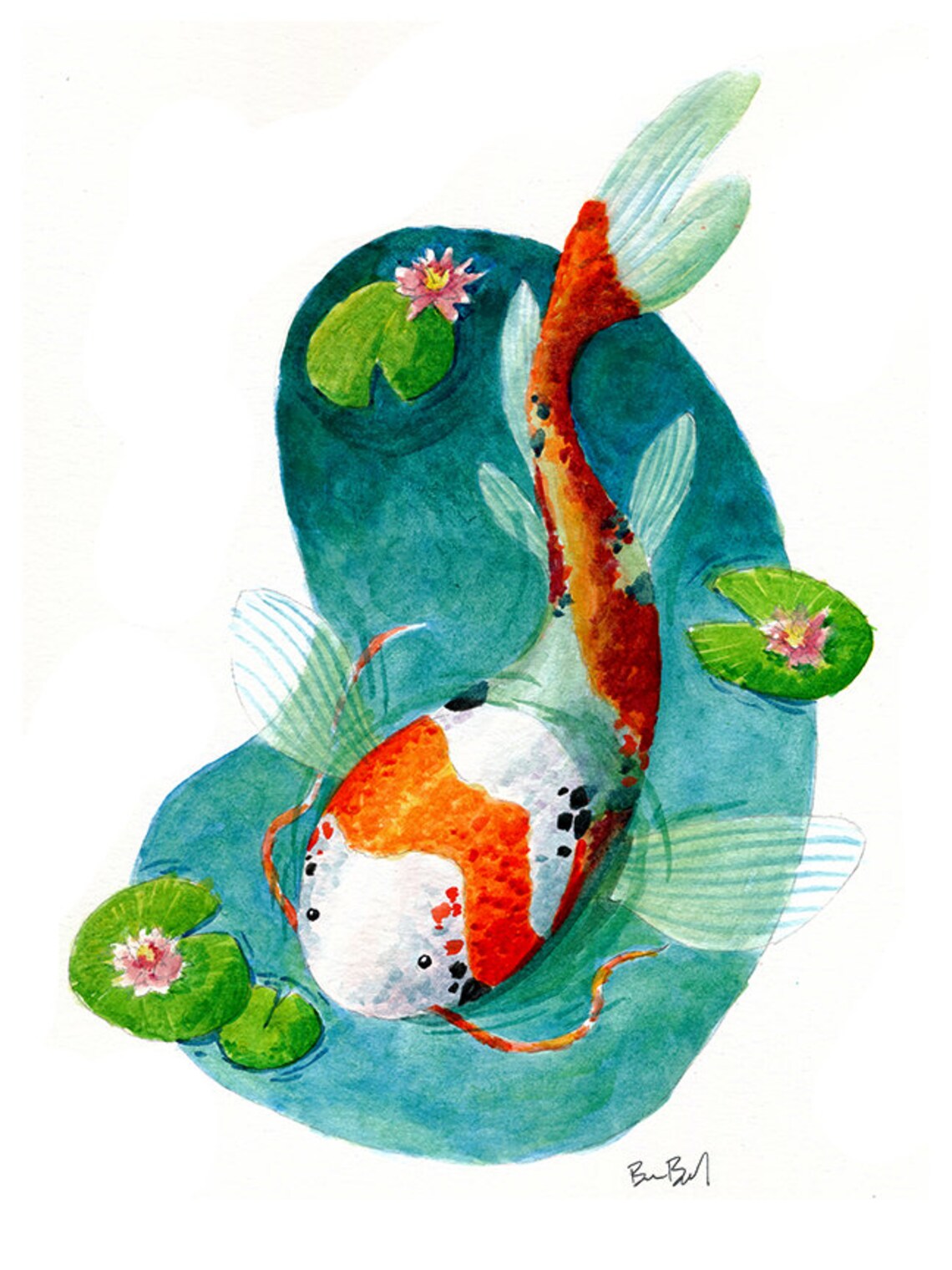 Koi