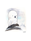 White Owl