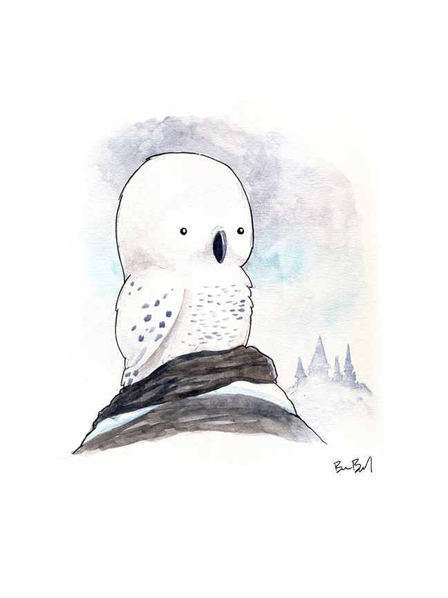 White Owl