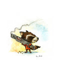 Racoon